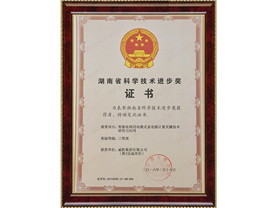 湖南省科學(xué)技術(shù)進步獎三等獎