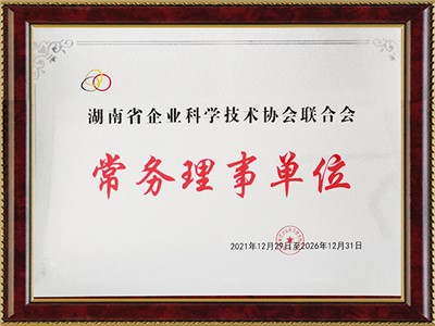 湖南省企業(yè)科學技術協(xié)會聯(lián)合會常務理事單位