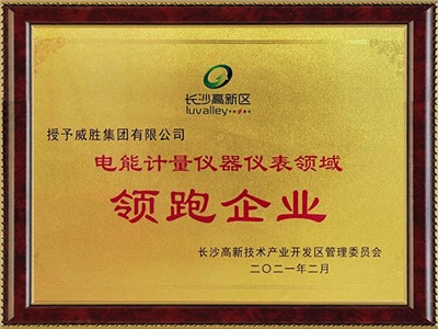 電能計量儀器儀表領域領跑企業(yè)