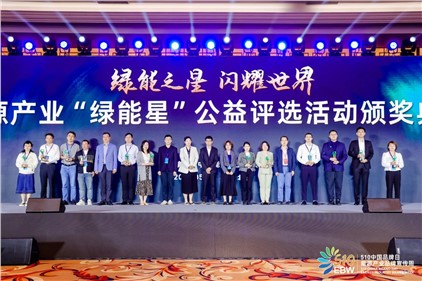 喜訊！威勝集團(tuán)榮獲綠能星優(yōu)秀解決方案獎(jiǎng)并入選典型案例
