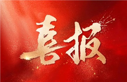 喜報|威勝集團中標國家電網(wǎng)項目，總中標金額超1.15億元，行業(yè)排名第一！