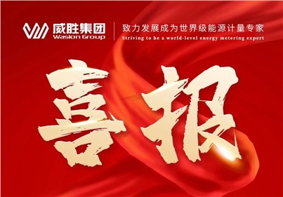 排名第一！威勝集團2024年中標(biāo)國網(wǎng)總部集中招標(biāo)采購項目總金額達5.97億元！