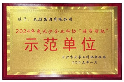 喜訊|威勝集團(tuán)榮獲2024年度長沙企業(yè)科協(xié)“提質(zhì)增效”示范單位