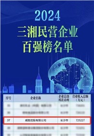 喜訊｜威勝控股上榜2024三湘民營企業(yè)百強(qiáng)榜單，排名第37位